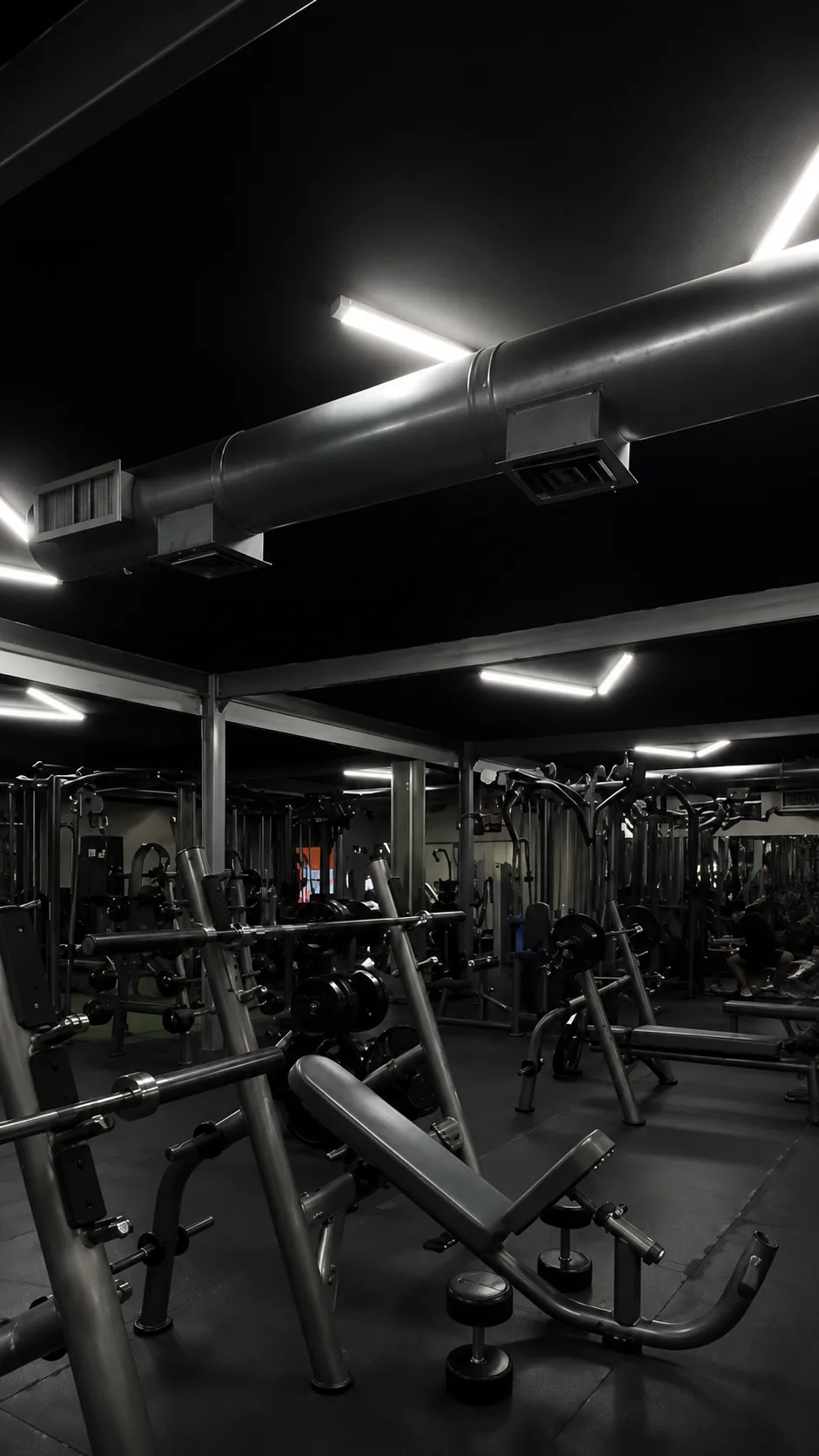Portada — El Gym por Dentro